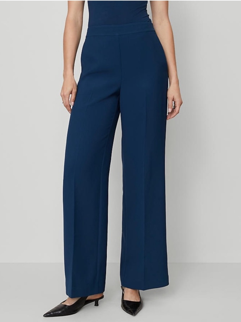 Ann Taylor Wide Leg pants.